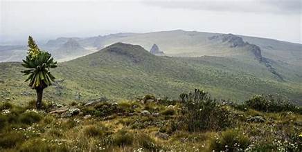 Abadare mountains