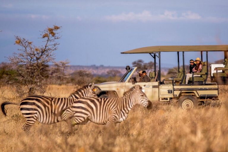 safari tour