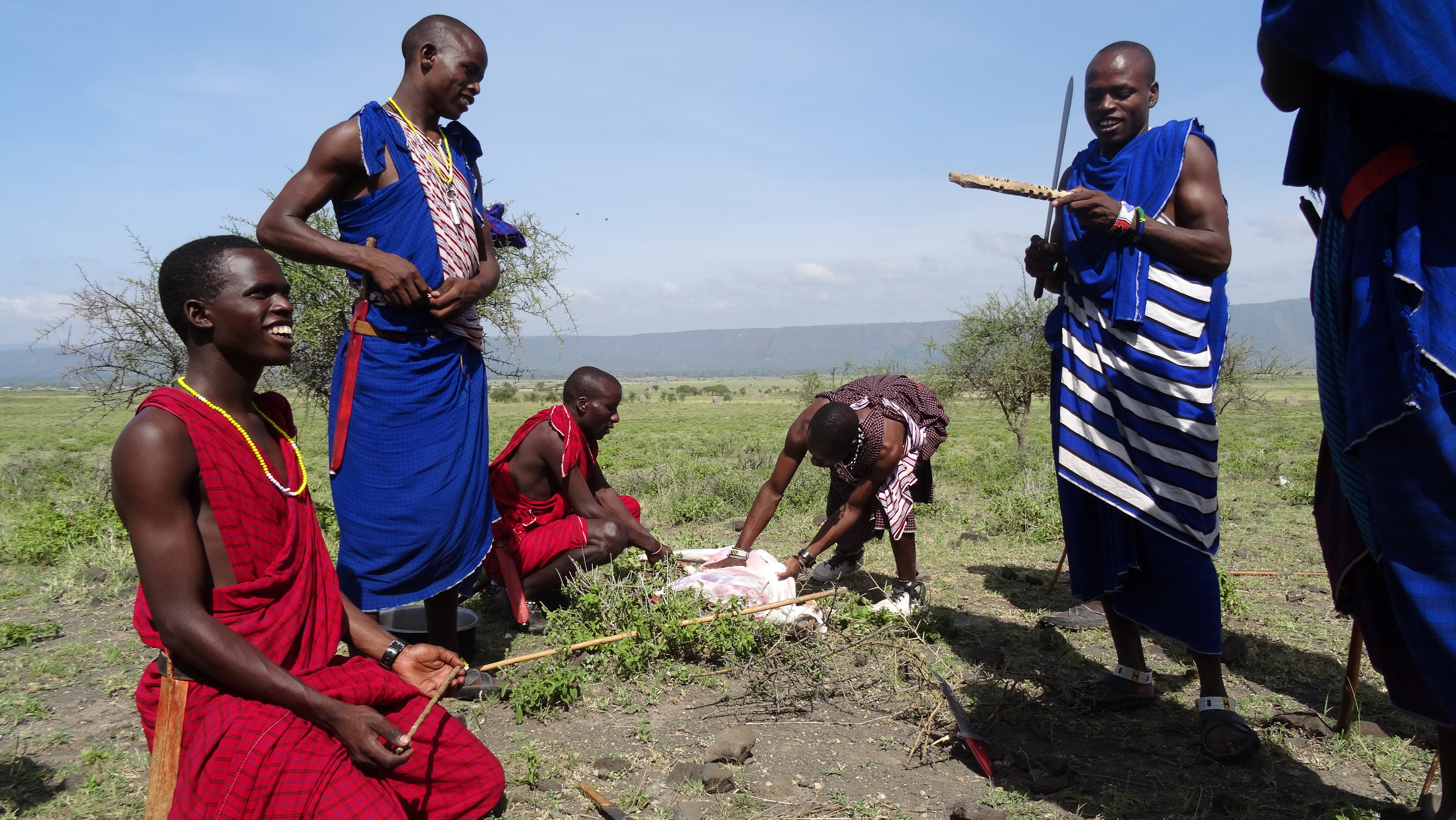 Maasai  warriors