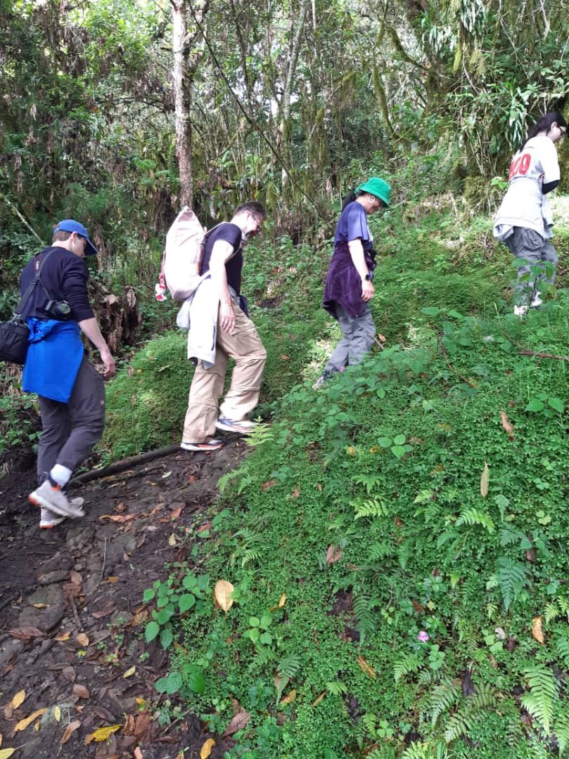 Monut Meru climbers