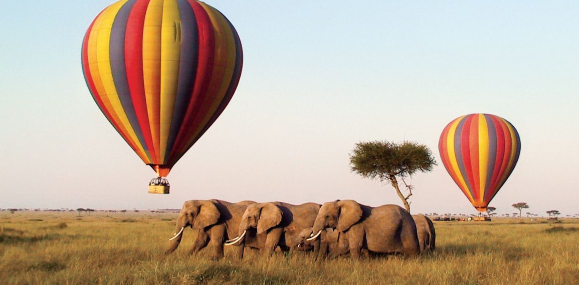 Hot air balloon