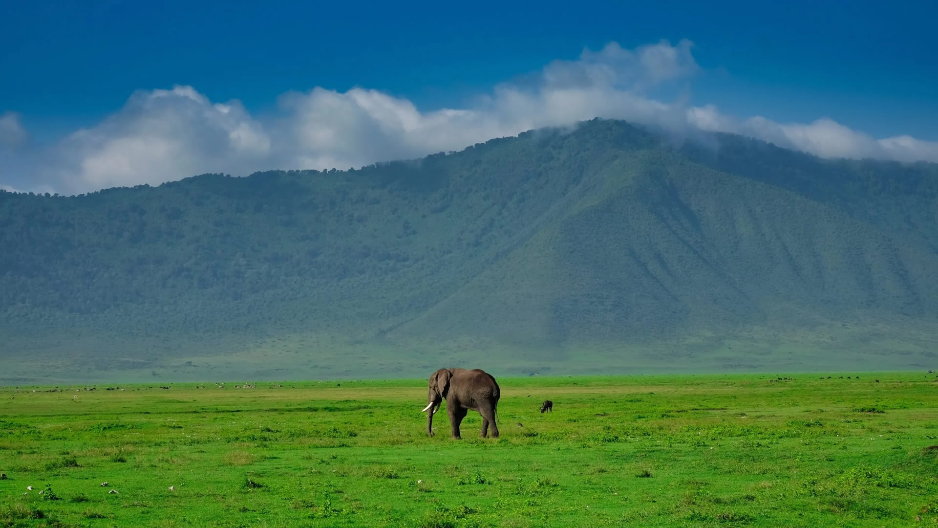 Ngorongoro Conservation Area