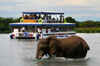 Explore The Mighty Zambezi River with a Sunset Cruise in Victoria Falls