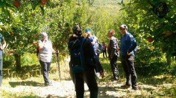 treakers apple orchard sightseeng kinnaur