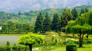 Botanical Garden Kashmir