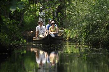 A Walk Around the Back Water of Kerala