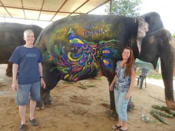 An Elephant Village