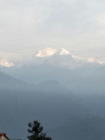 VIEW FROM PELLING