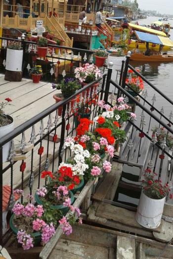 Sun Suci houseboat
