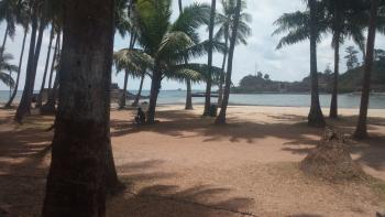 Carbyn's Cove Beach