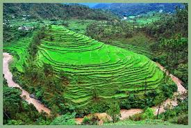Uttranchal beauty