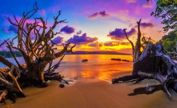 Chidiya Tapu Beach - Port Blair