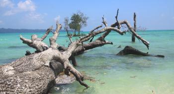Wandoor Beach - Port Blair
