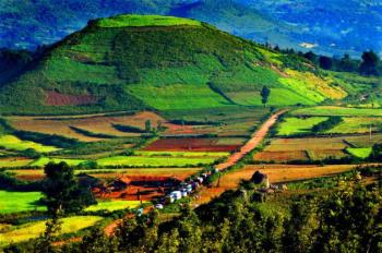 Araku
