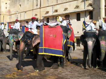 Elephant Ride  at Amer Fort - Jaipur
