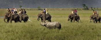 KAZIRANGA NATIONAL PARK