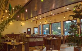 Best Restaurant in Jim Corbett National Park Uttarakhand