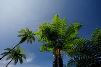 Malaysia