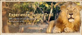 Gir National Park Gujarat