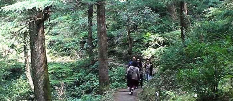 Top Tourist Places To Visit in Chail