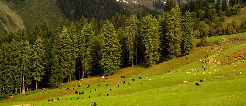 Top Tourist Places To Visit in Kullu