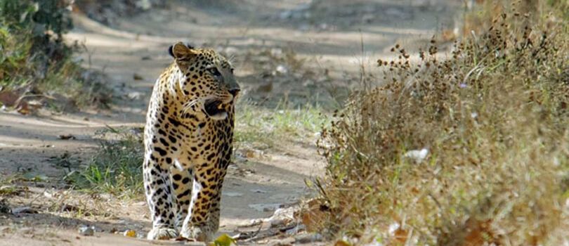 Top Tourist Places To Visit in Kumbhalgarh