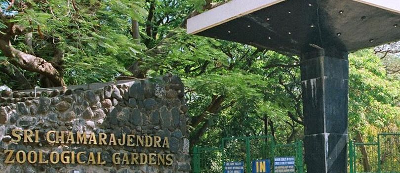 Top Tourist Places To Visit in Mysore