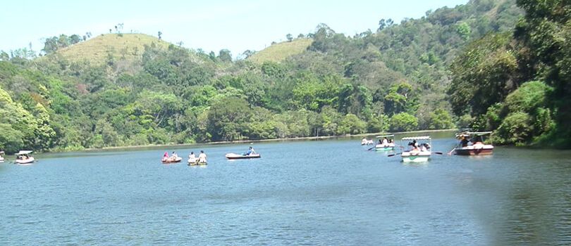 Top Tourist Places To Visit in Wayanad