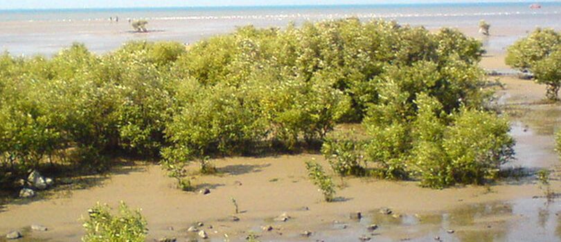 Top Tourist Places To Visit in Jamnagar