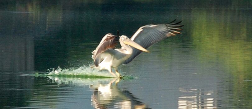 Top Tourist Places To Visit in Porbandar