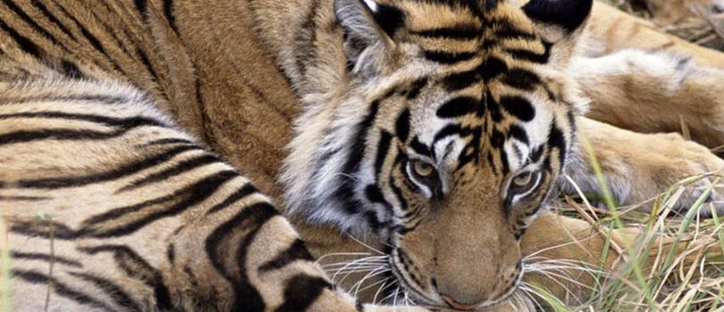 Top Tourist Places To Visit in Imphal