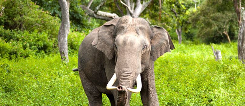 Top Tourist Places To Visit in Dimapur