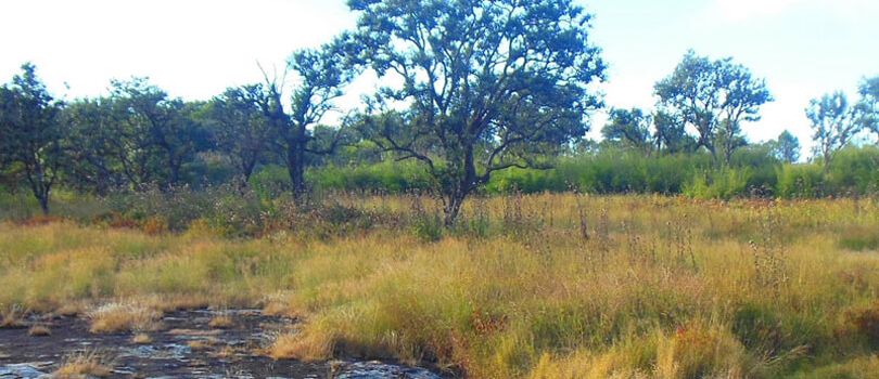 Top Tourist Places To Visit in Aizawl