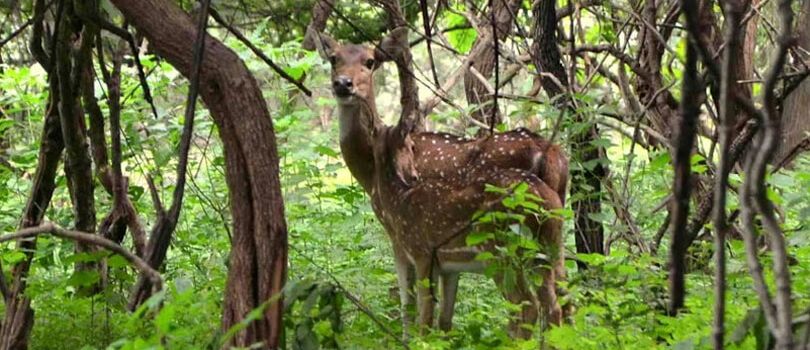 Top Tourist Places To Visit in Tura