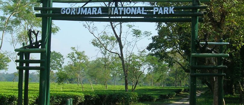 Top Tourist Places To Visit in Jalpaiguri