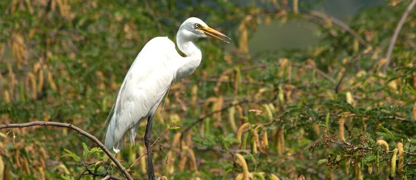 Top Tourist Places To Visit in Jhajjar