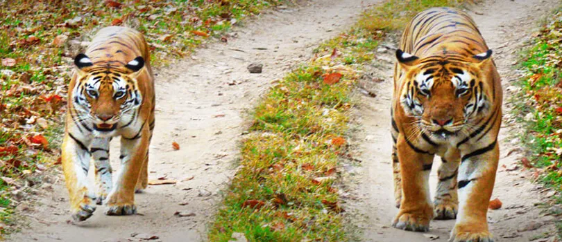 Top Tourist Places To Visit in Mandla