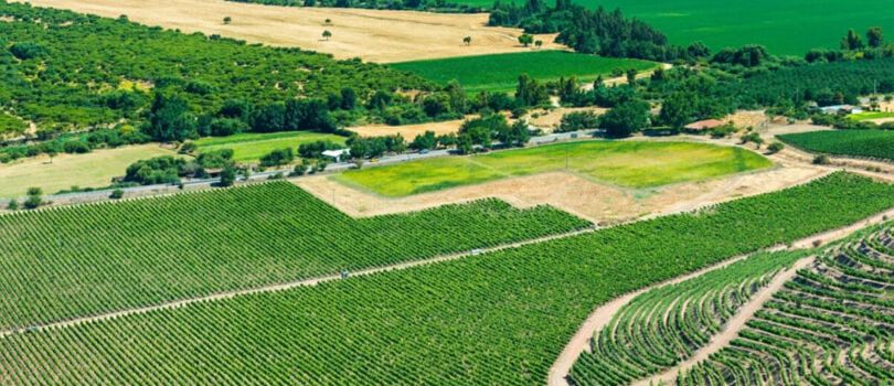 Top Tourist Places To Visit in Colchagua