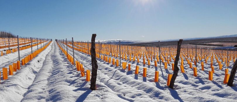 Top Tourist Places To Visit in Chubut