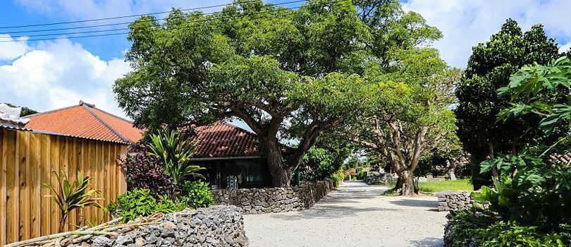 Top Tourist Places To Visit in Okinawa