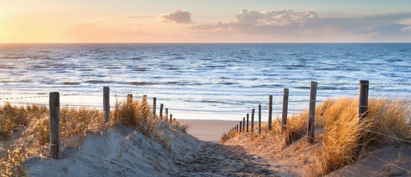 Top Tourist Places To Visit in Zandvoort