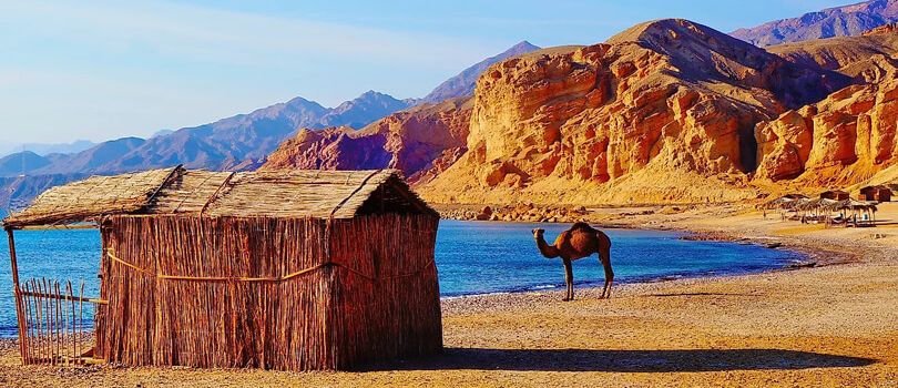 Top Tourist Places To Visit in Sinai Peninsula
