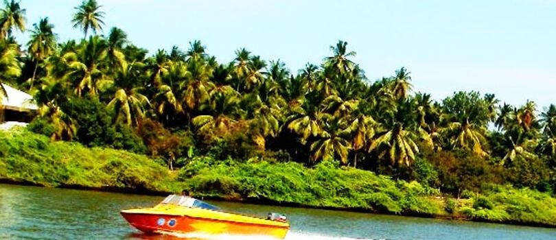 Top Tourist Places To Visit in Pondicherry