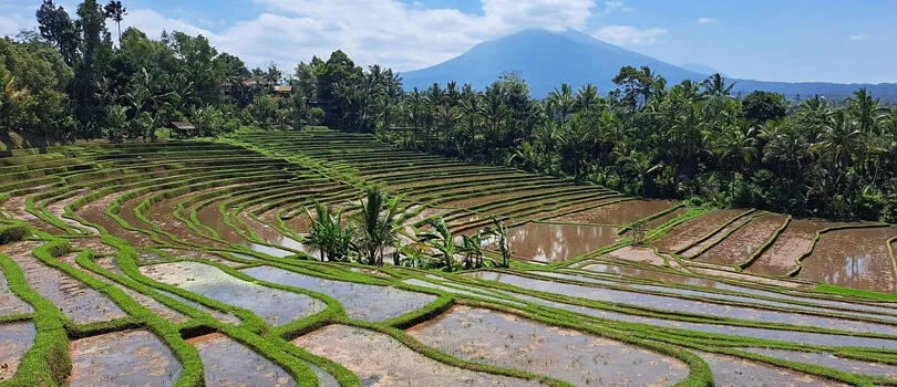 Top Tourist Places To Visit in Bali
