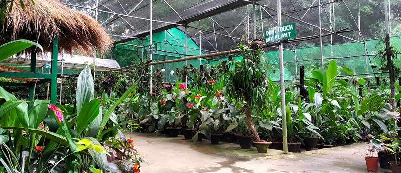 Top Tourist Places To Visit in Kaziranga