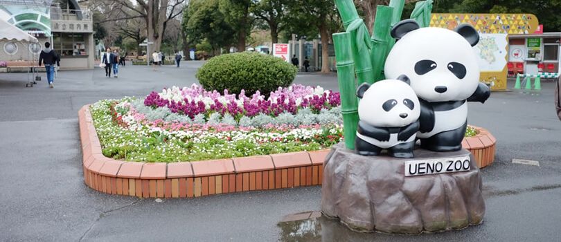 Top Tourist Places To Visit in Tokyo