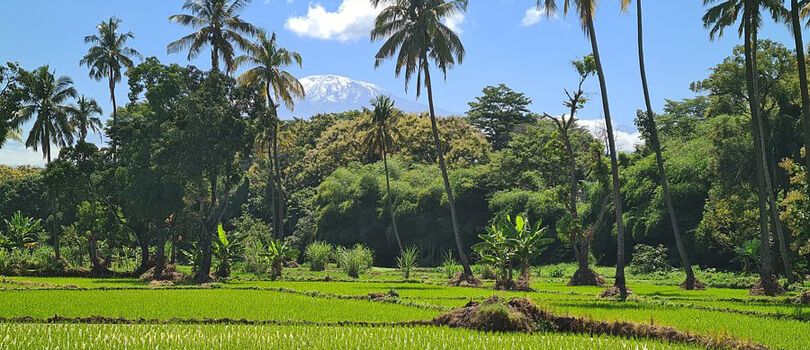 Top Tourist Places To Visit in Moshi