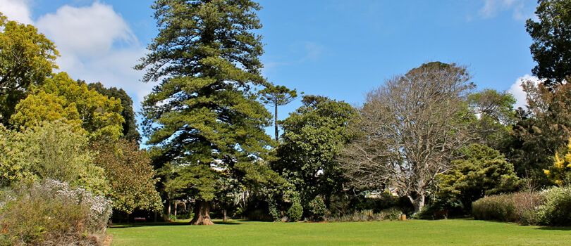 Top Tourist Places To Visit in Landsdown