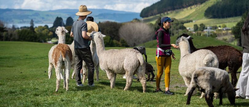 Top Tourist Places To Visit in Rotorua