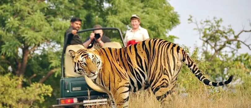 Top Tourist Places To Visit in Corbett